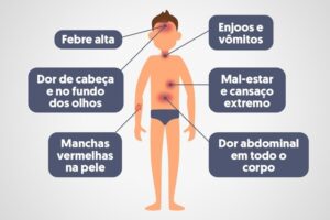 Quais são os Sintomas da Dengue? Aedes_aegypti