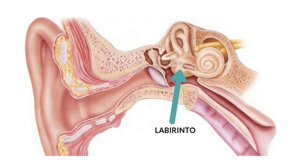 Labirintite- O Que é, Sintomas e Tratamento.