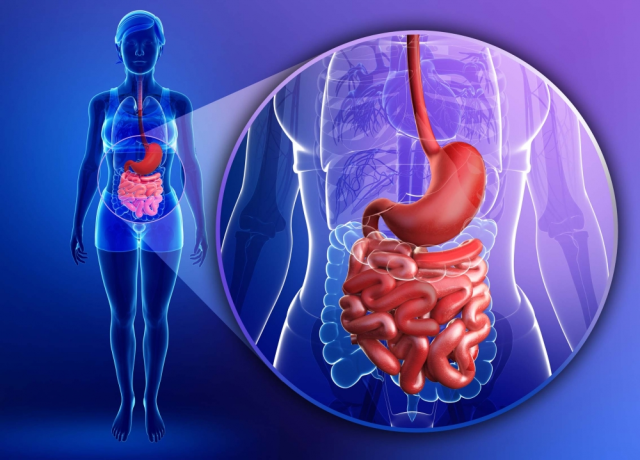 Doença inflamatória intestinal- O Que é, Causas e Tratamento.