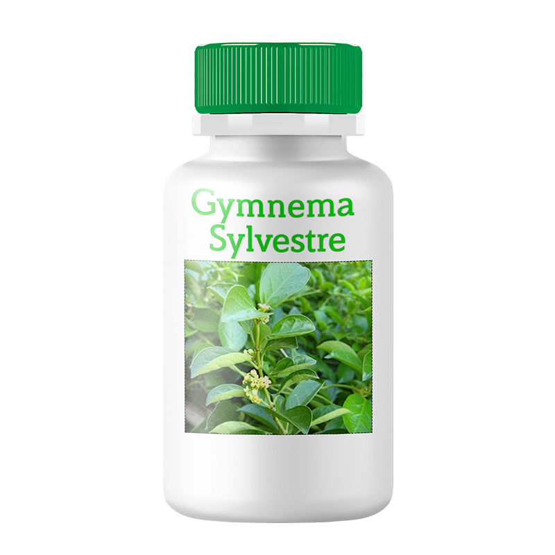 Gymnema Sylvestre- Para que Serve?