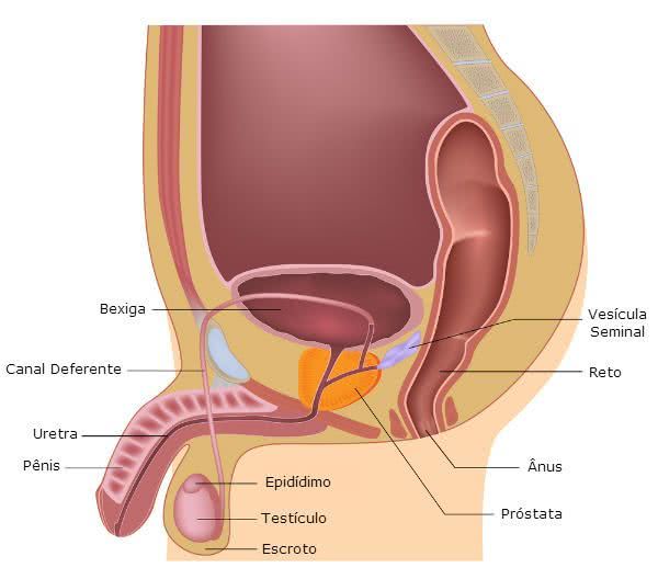 Infecção Urinária Masculina- O Que é e Como Tratar?