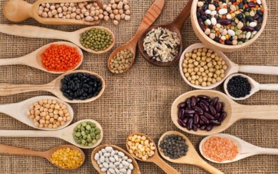 Grãos Ricos em Proteína para Sua Dieta.